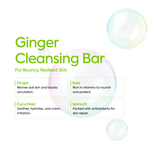 Ginger Cleansing Bar - IYKYK - Image 7