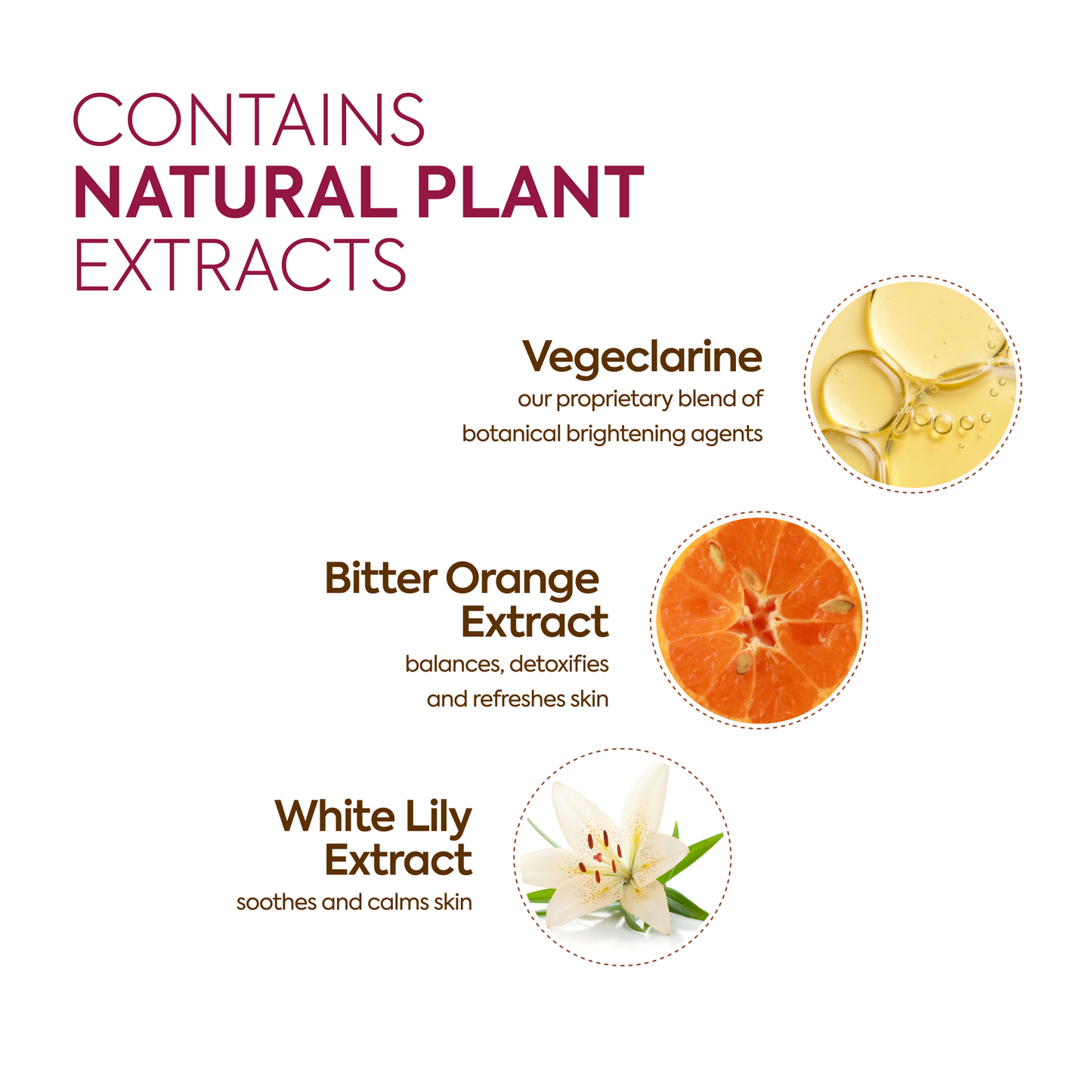Day Radiance Face Cream - Image 4